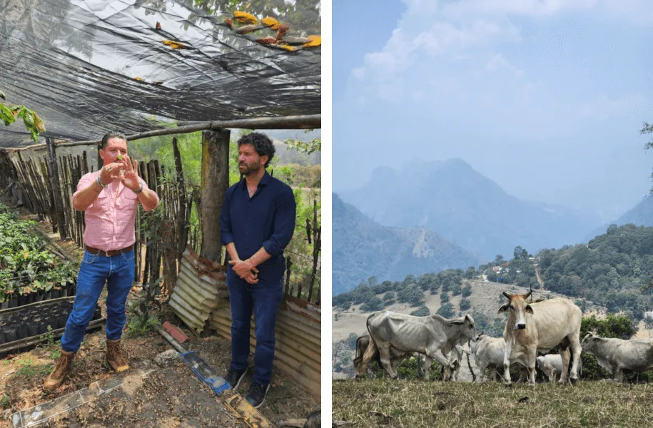 Collage of two images: Left—two men working inside a vegetable greenhouse; Right—cows grazing on the rural hills of Mexico.